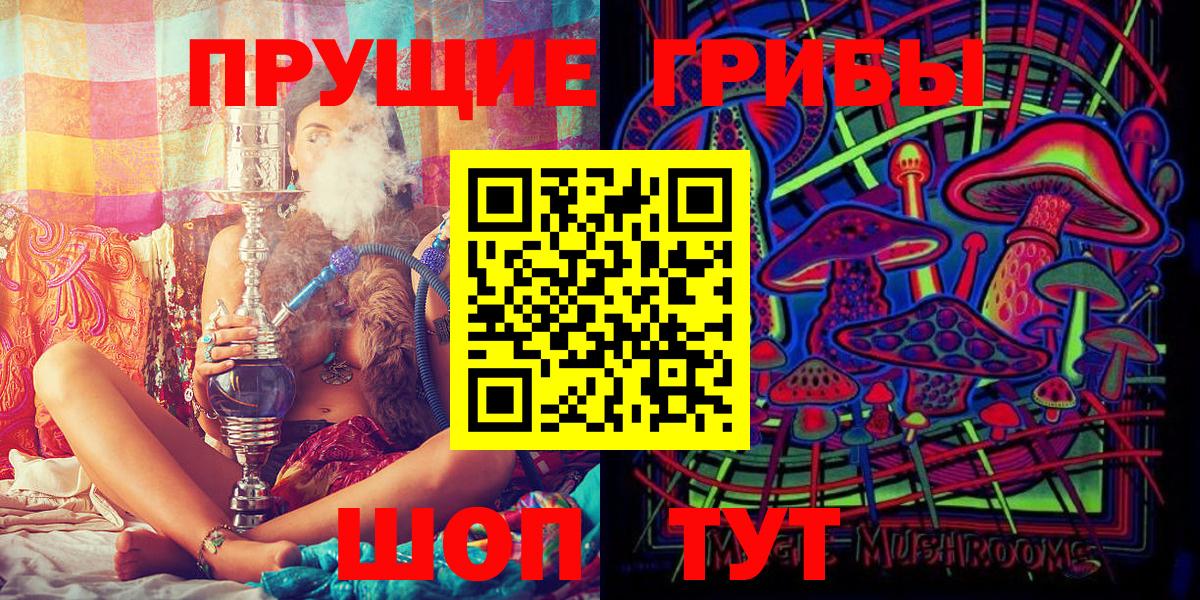 Новосибирск  закладка  Вход с VPN  Галлюциногенные грибы Magic Shrooms 